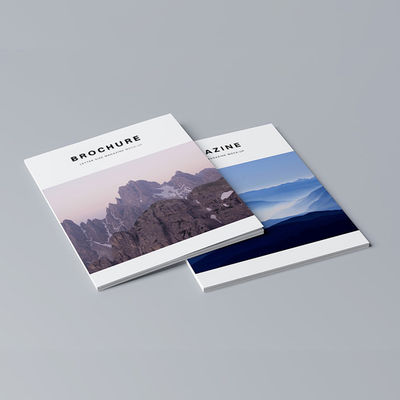 Luxe volkleurige brochures, reclame flyers boek FDA certificaat