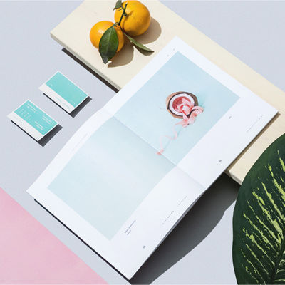 Luxe volkleurige brochures, reclame flyers boek FDA certificaat