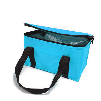 OEM Custom Printing Soft Insulated Cooler Bag 21*13*14 Cm Met 4L 16L 32L Capaciteit