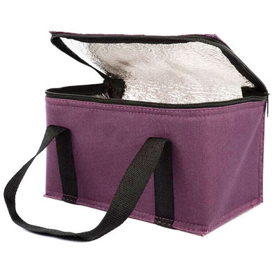 OEM Custom Printing Soft Insulated Cooler Bag 21*13*14 Cm Met 4L 16L 32L Capaciteit