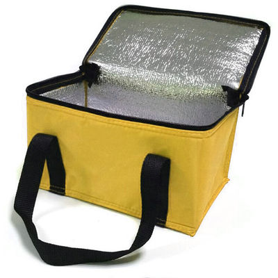 OEM Custom Printing Soft Insulated Cooler Bag 21*13*14 Cm Met 4L 16L 32L Capaciteit