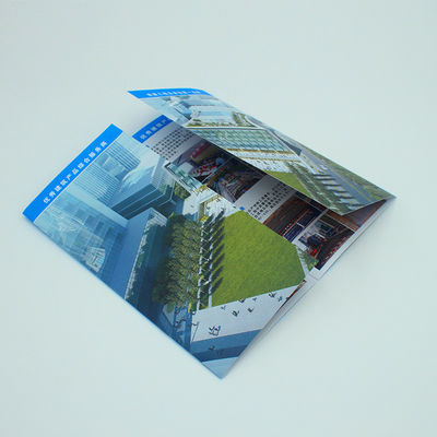 Volkleurige visitekaartjes en brochures bedekt papier catalogus flyers Print Service