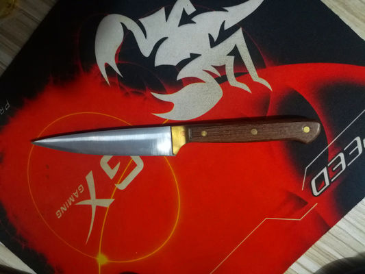 Truffel Shavers Foie Gras Messer Kaas Messer Met Rosewood Handle Kan Print Logo